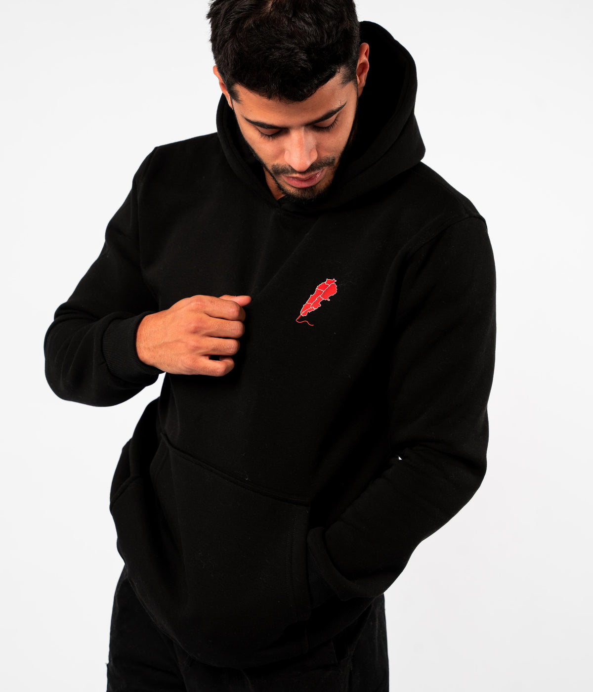 The Phoenix Hoodie