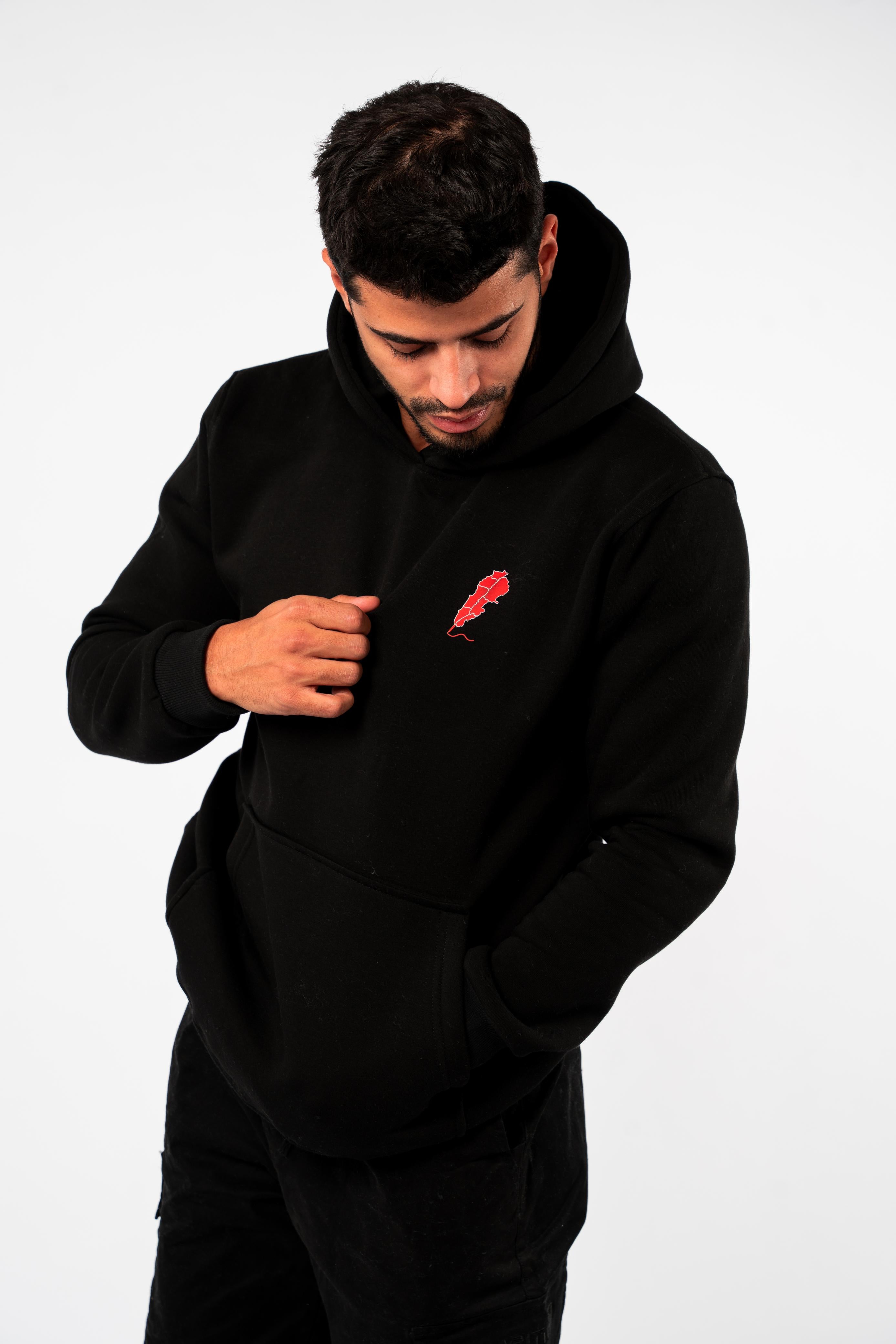 The Phoenix Hoodie